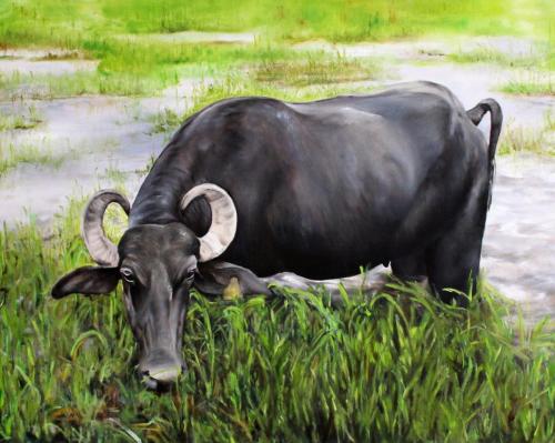 Kolumbianisches Rind (Öl auf Leinwand), HOPP´s MAL Kunstschule